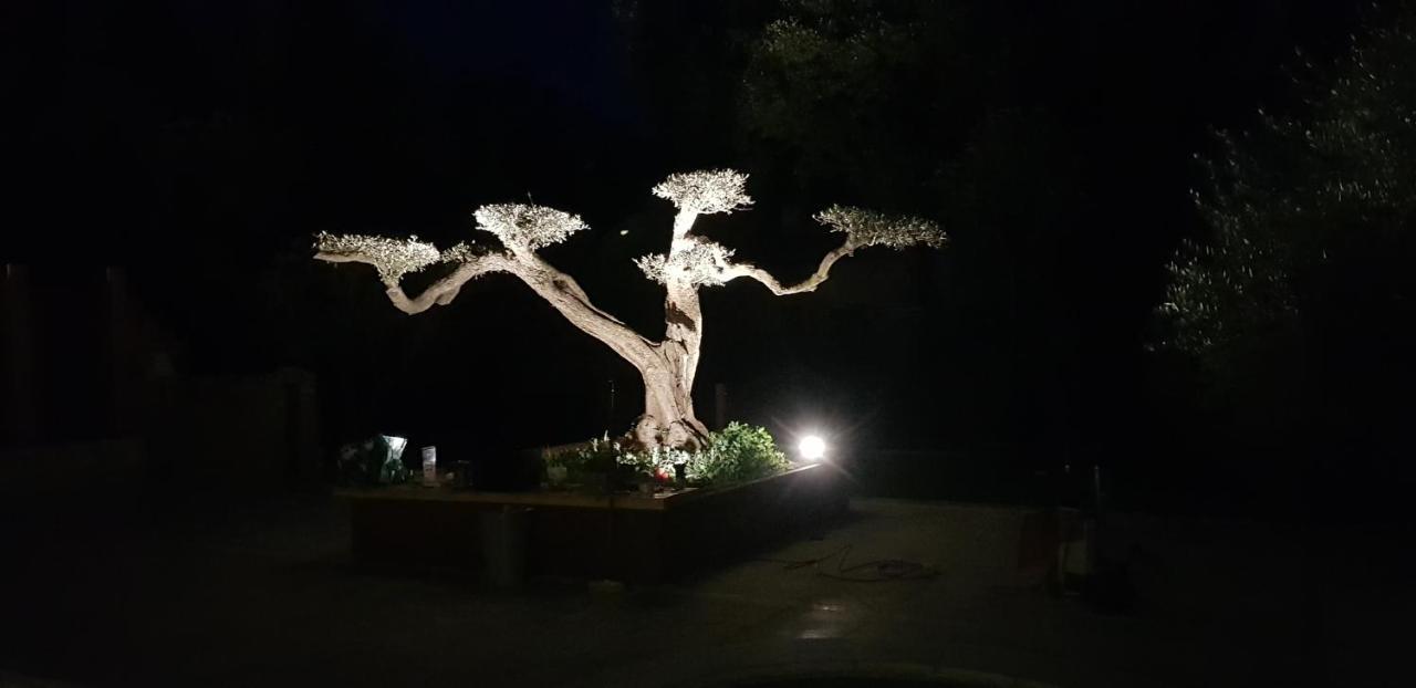 Les Gites De L'Arbousier Quissac  Экстерьер фото